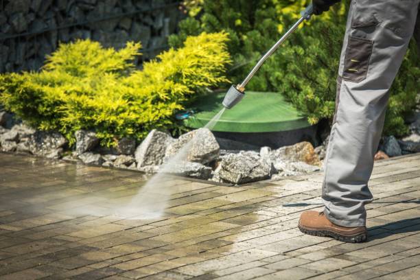 Best Sidewalk and Walkway Cleaning  in Lockport Heights, LA